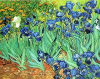 Gogh, Vincent van - Irises